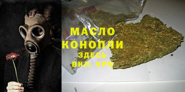 гидра Корсаков