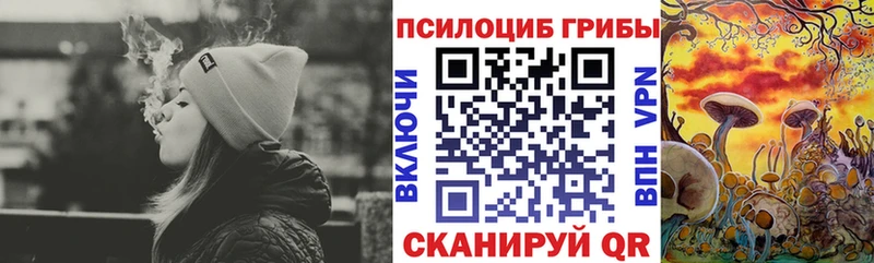 Псилоцибиновые грибы Psilocybine cubensis купить наркоту Поворино